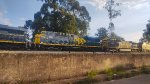 MRSL 7537